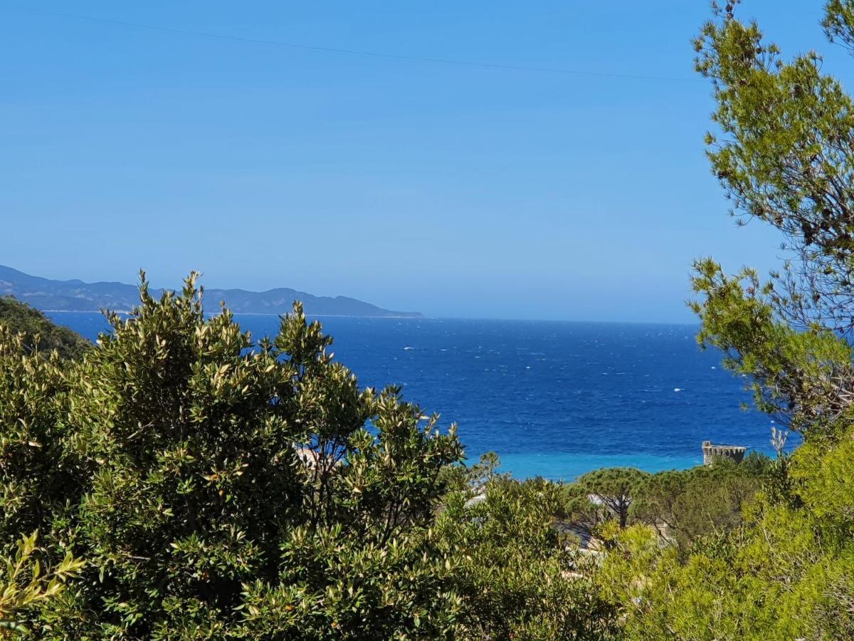 Les Gites Du Cap Corse Нонца Екстер'єр фото