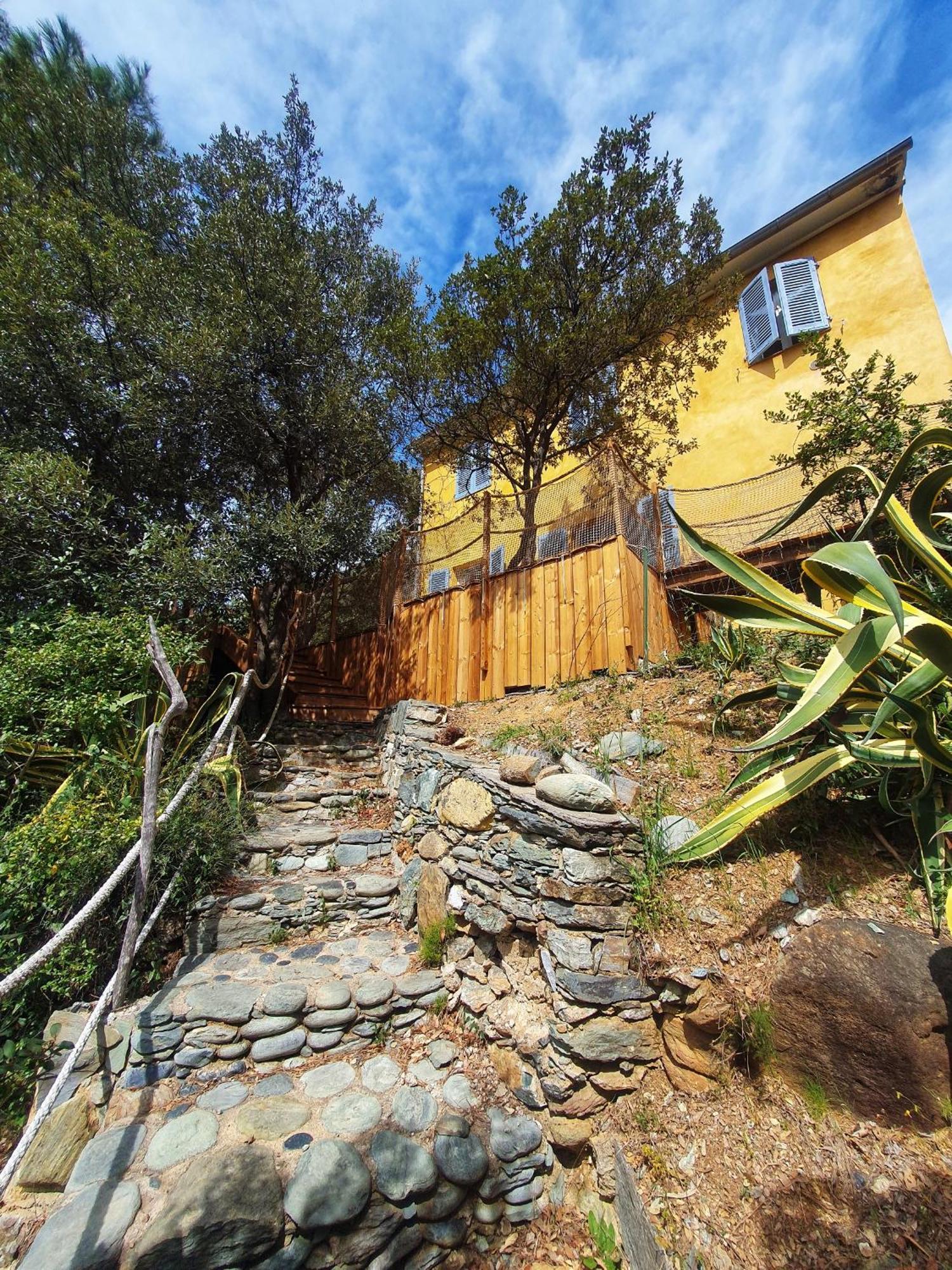 Les Gites Du Cap Corse Нонца Екстер'єр фото