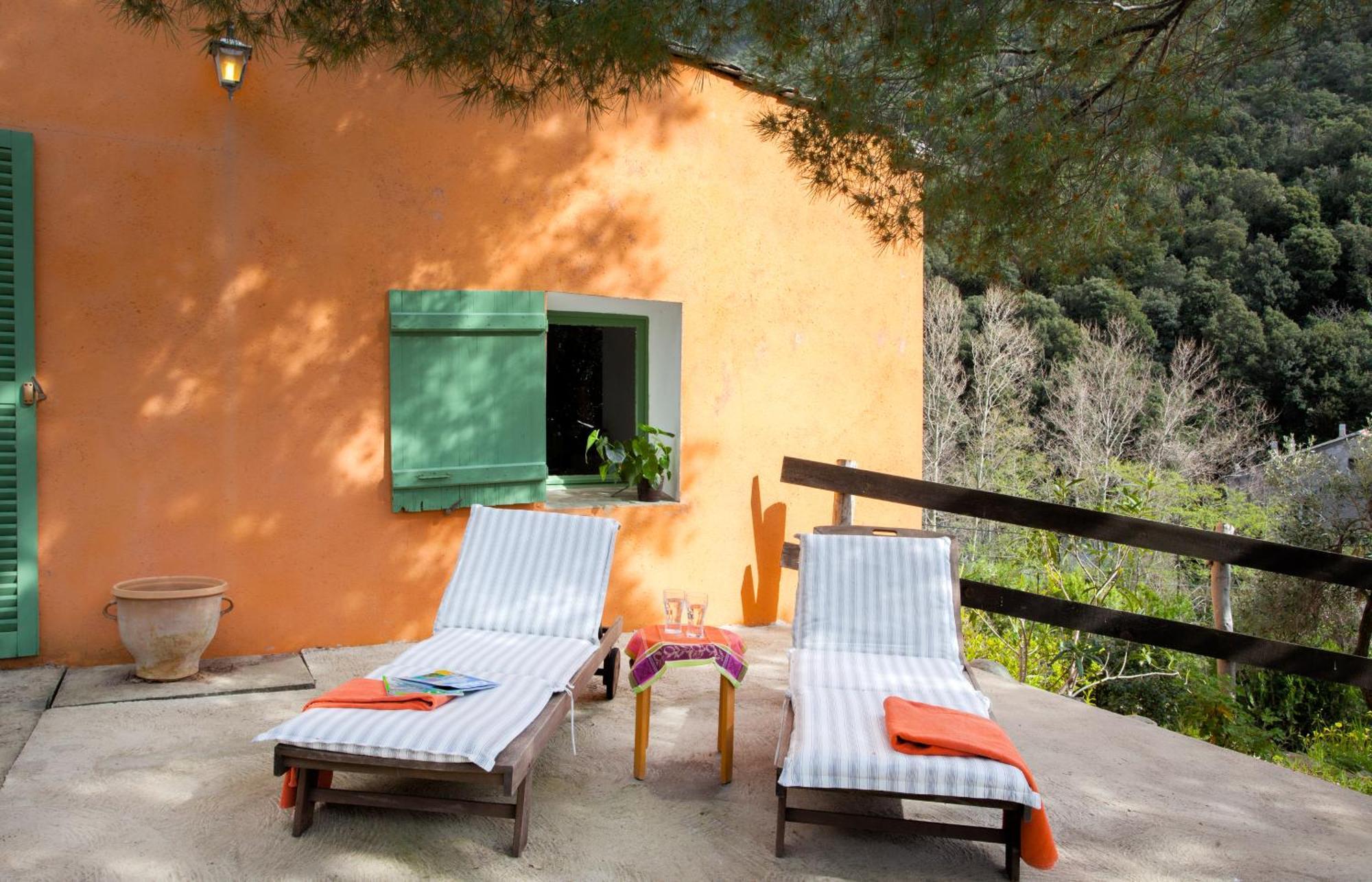 Les Gites Du Cap Corse Нонца Номер фото