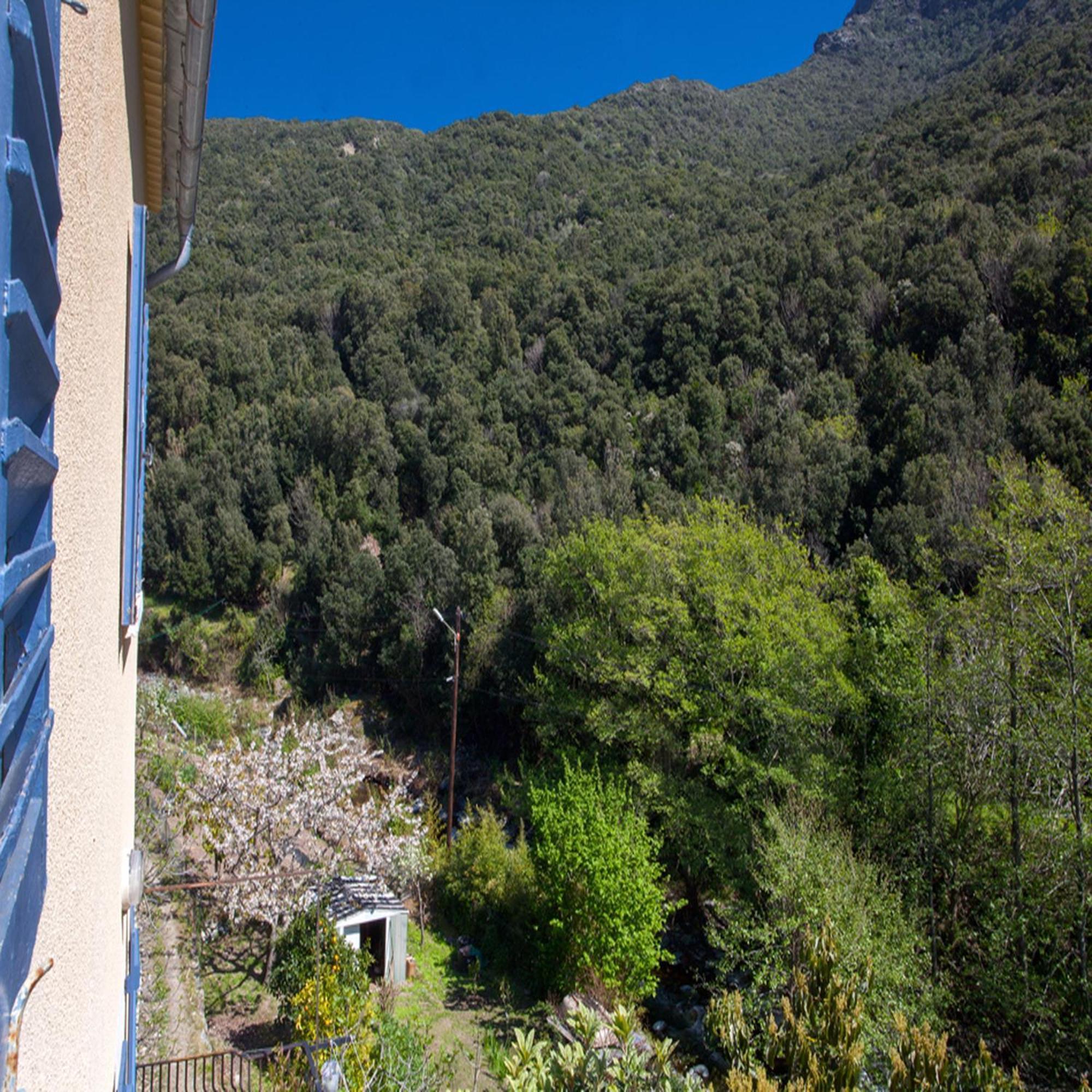Les Gites Du Cap Corse Нонца Номер фото