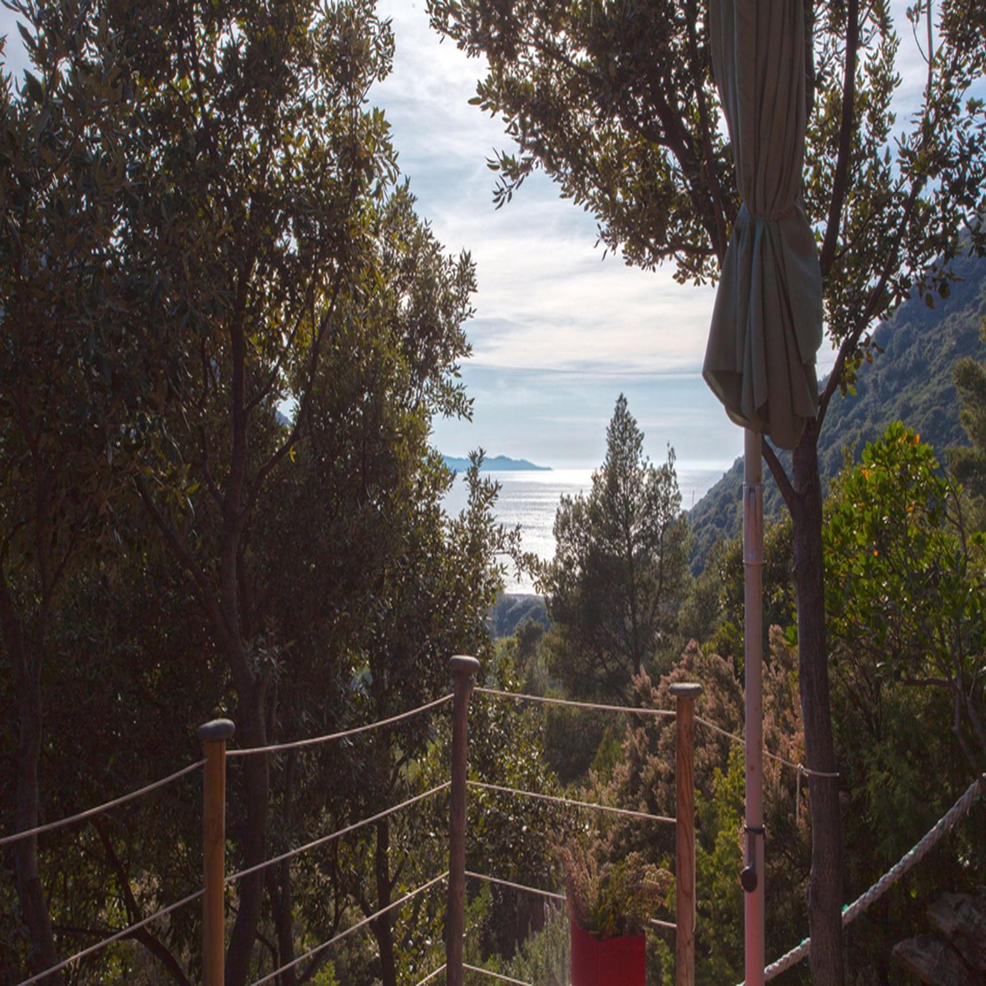 Les Gites Du Cap Corse Нонца Номер фото