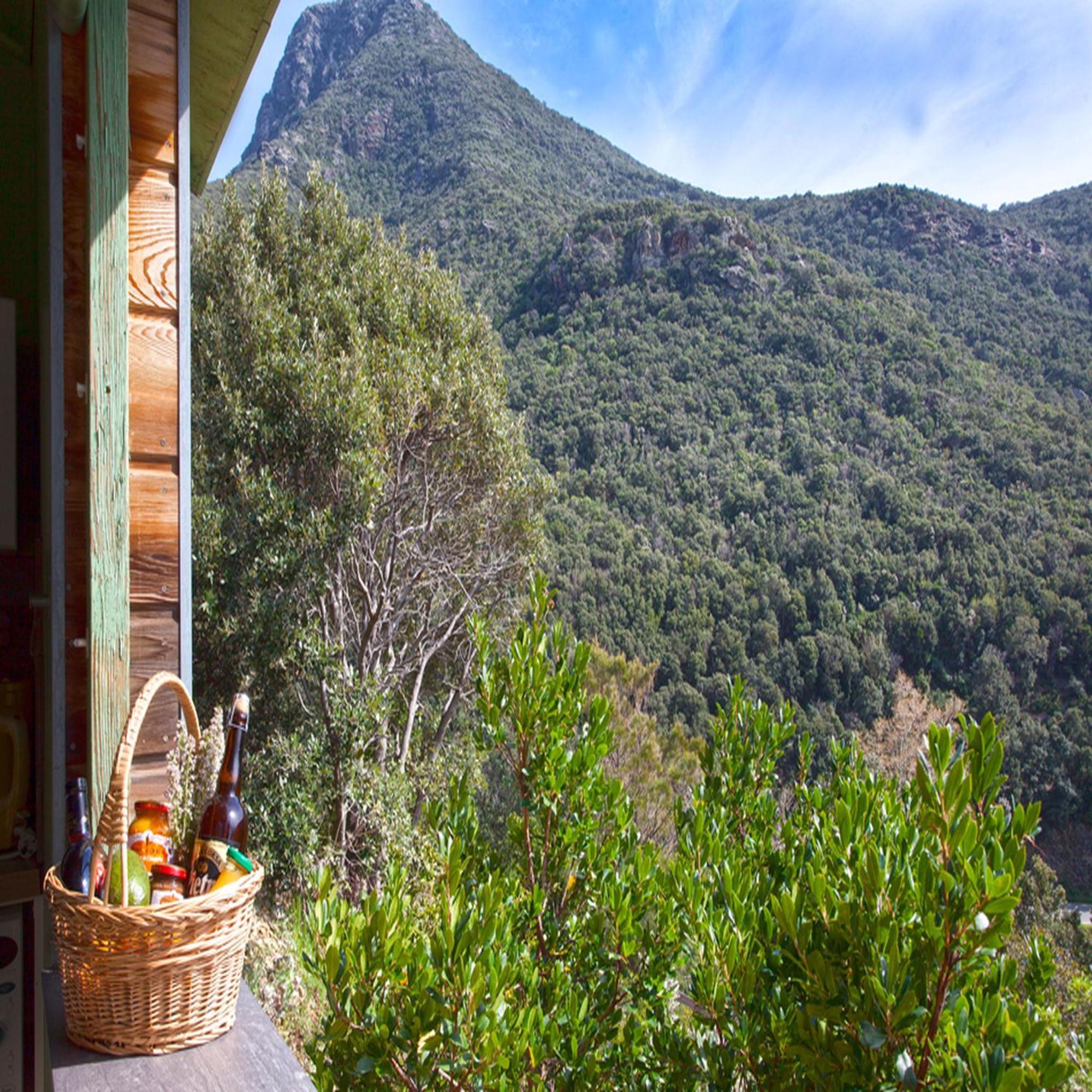 Les Gites Du Cap Corse Нонца Номер фото